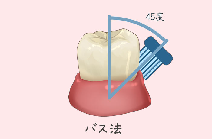 バス法の図解（歯ブラシ45度）
