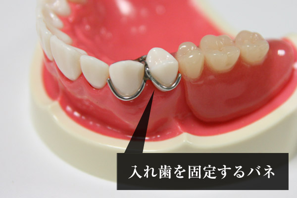 米沢市林泉寺の歯医者　りんせんじ歯科3